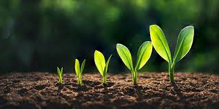 Keep things in perspective